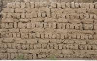 Photo Texture of Wall Brick 0008